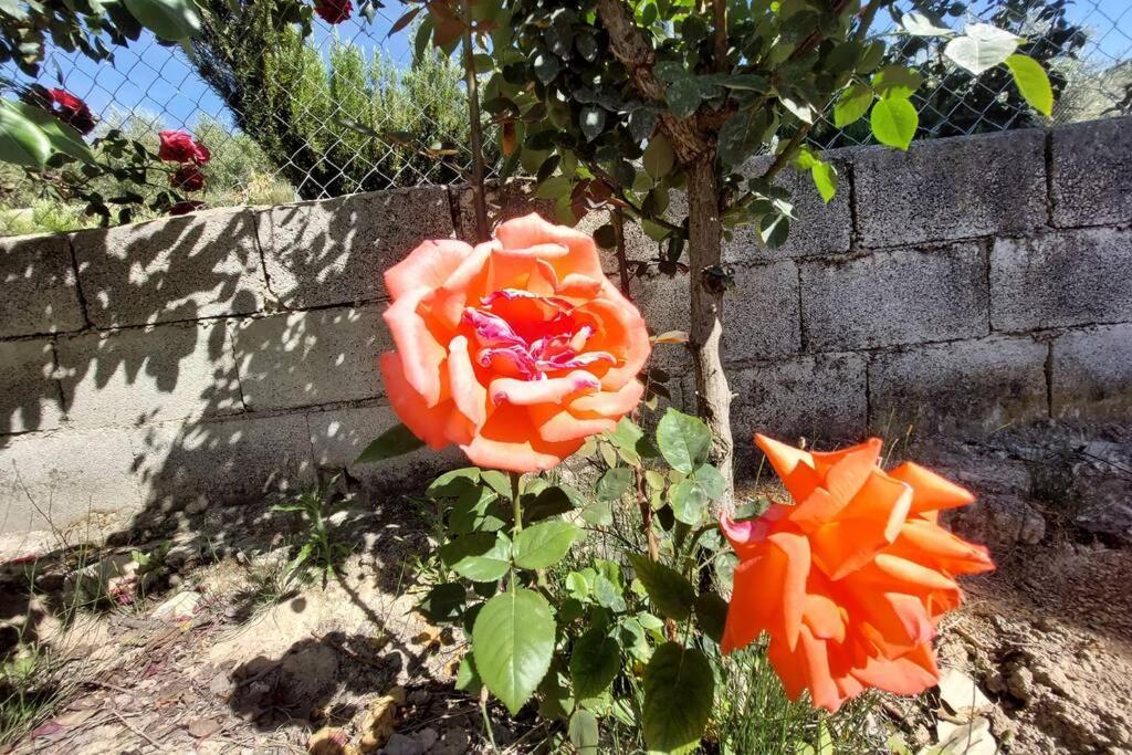 Holiday home La Huerta Del Castillo Con Su Caz De Agua - Enjoy Life & Relax