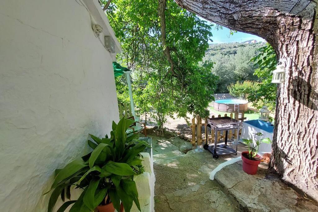 La Huerta Del Castillo Con Su Caz De Agua - Enjoy Life & Relax * Castillo de Locubin