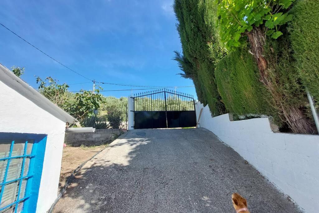 Holiday home La Huerta Del Castillo Con Su Caz De Agua - Enjoy Life & Relax *