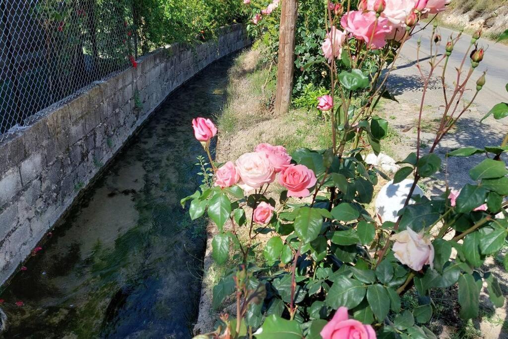 Ferienhaus La Huerta Del Castillo Con Su Caz De Agua - Enjoy Life & Relax *
