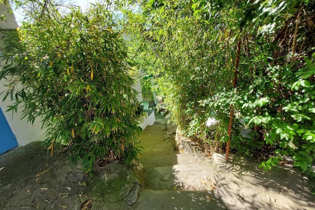 Ferienhaus La Huerta Del Castillo Con Su Caz De Agua - Enjoy Life & Relax *