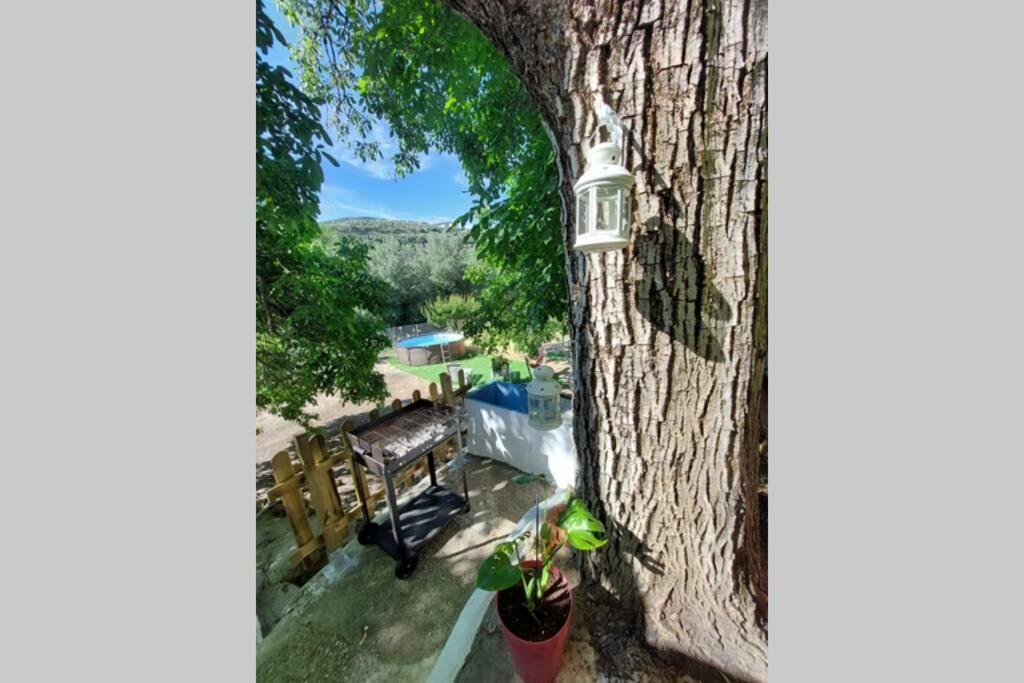 Ferienhaus La Huerta Del Castillo Con Su Caz De Agua - Enjoy Life & Relax